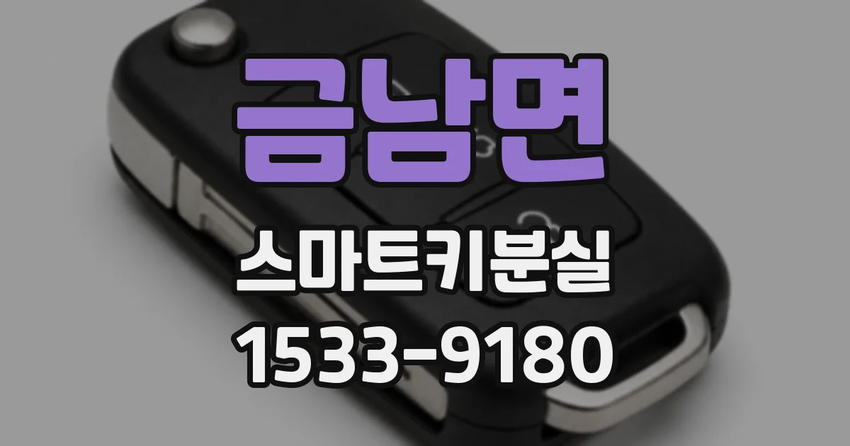 금남면 스마트키분실