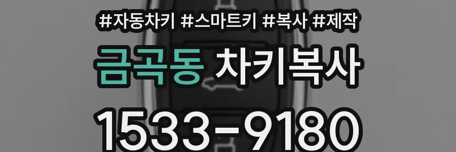 금곡동 차키복사