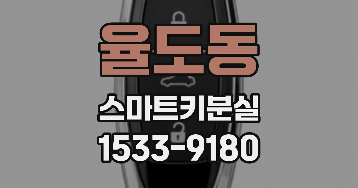 율도동 스마트키분실