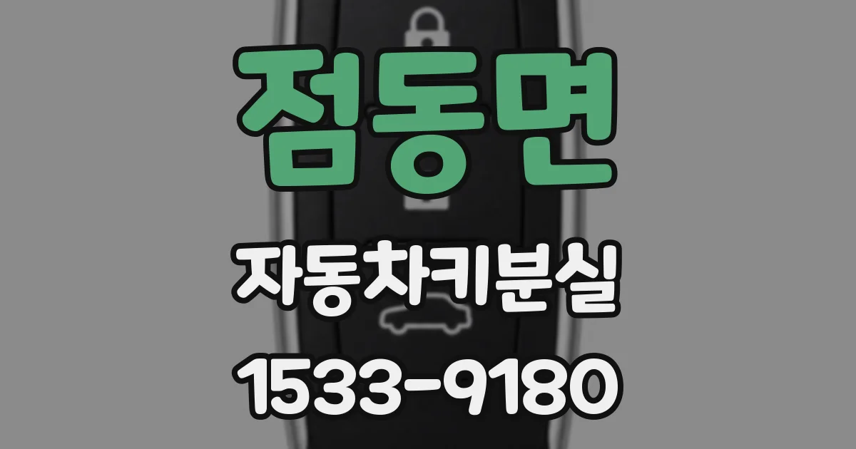 점동면 자동차키분실