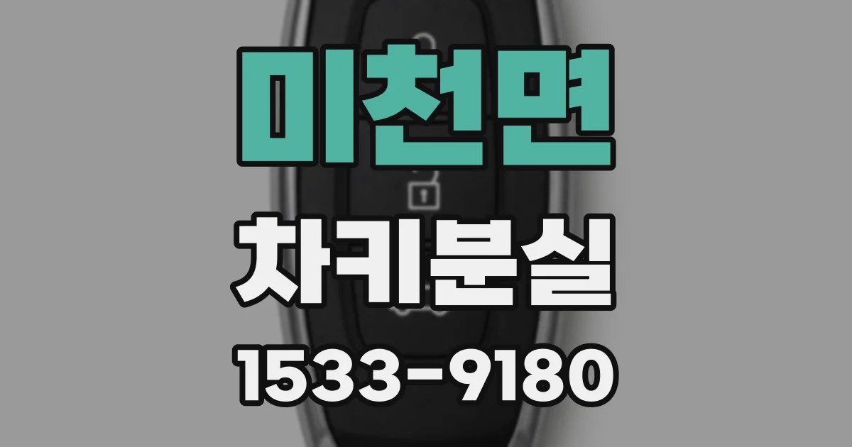 미천면 차키분실