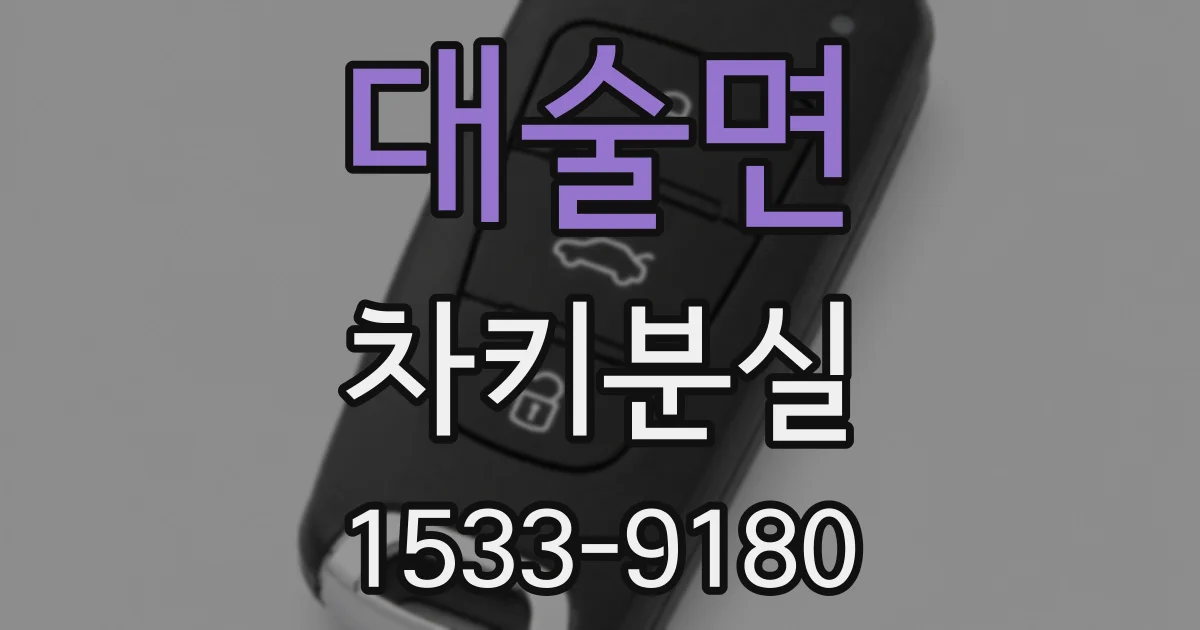 대술면 차키분실