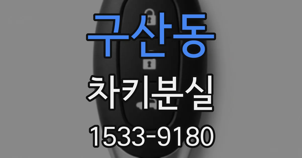 구산동 차키분실