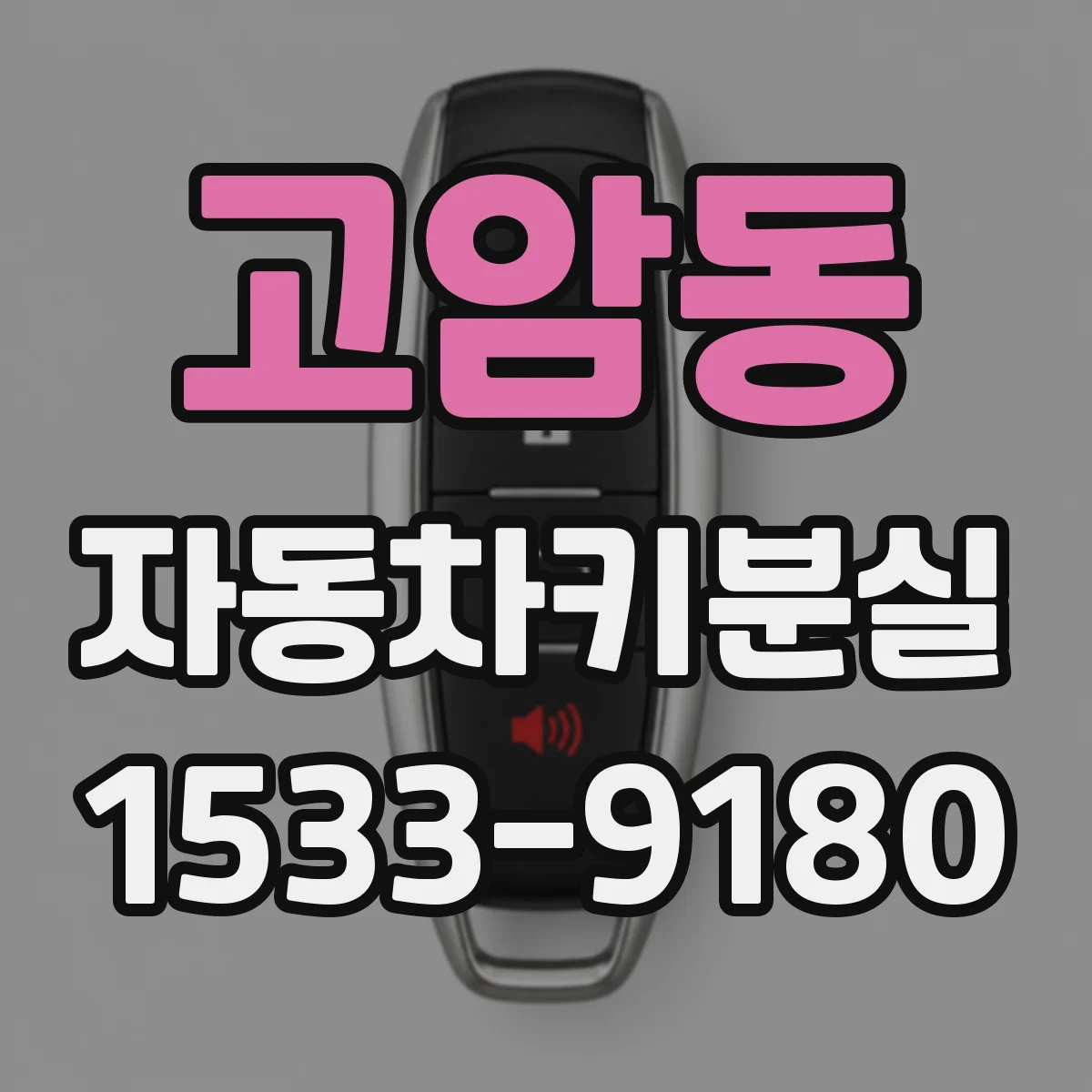 고암동 자동차키분실