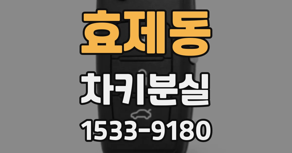 효제동 차키분실