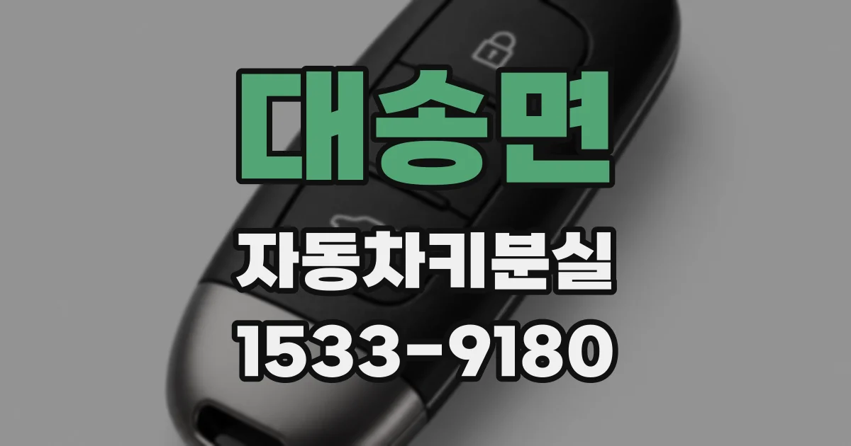 대송면 자동차키분실