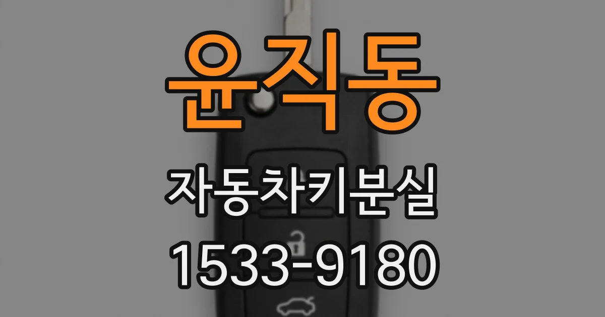 윤직동 자동차키분실