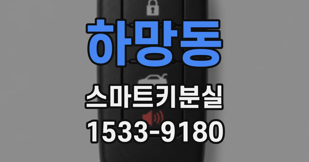 하망동 스마트키분실
