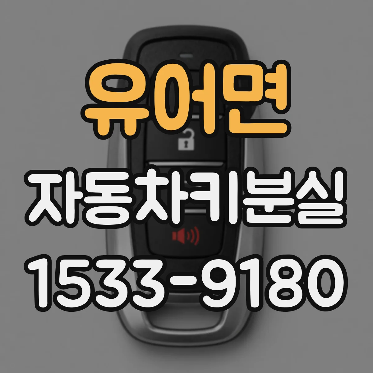 유어면 자동차키분실