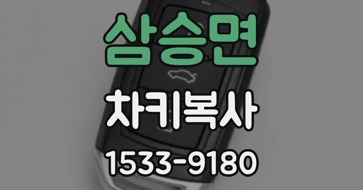 삼승면 차키복사