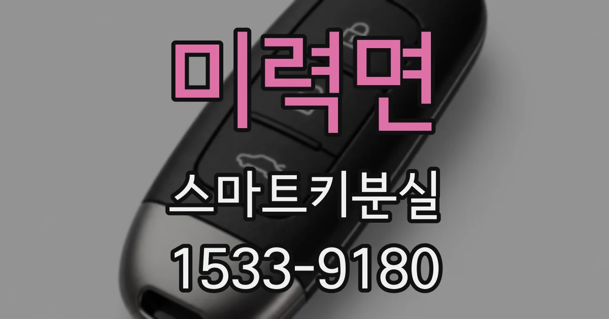 미력면 스마트키분실