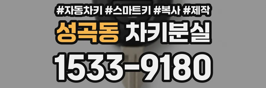 성곡동 차키분실