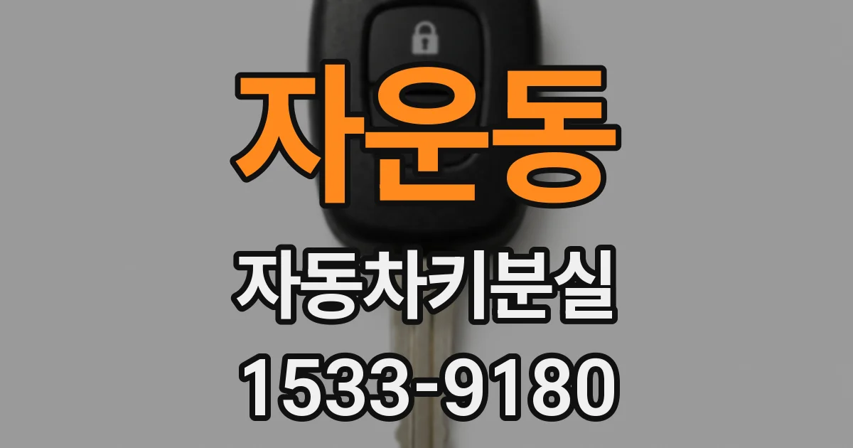 자운동 자동차키분실