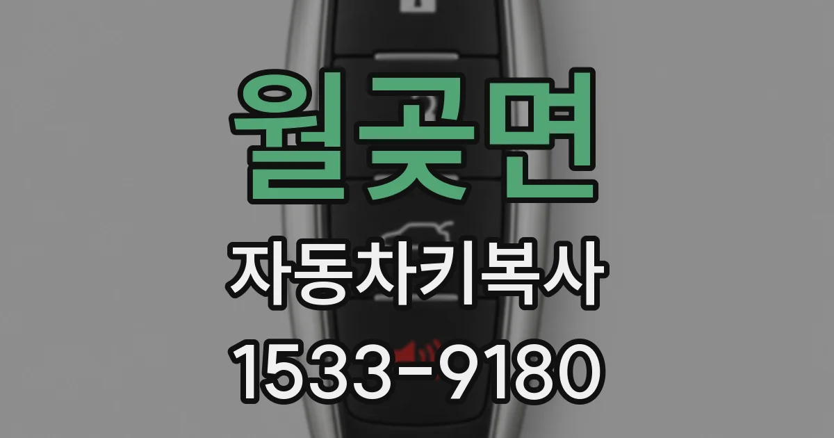 월곶면 자동차키복사