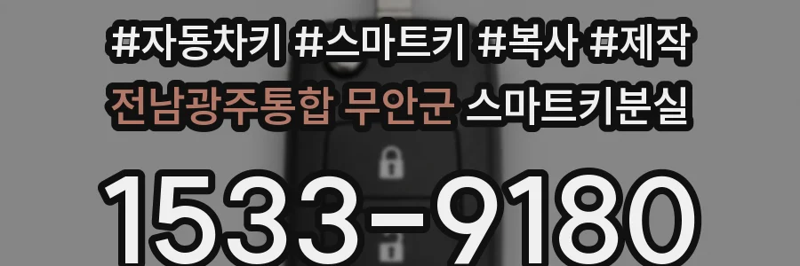 전남광주통합 무안군 스마트키분실