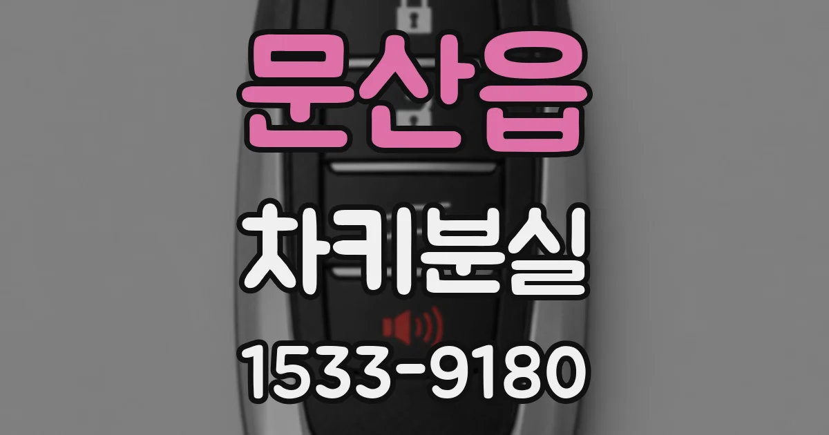 문산읍 차키분실