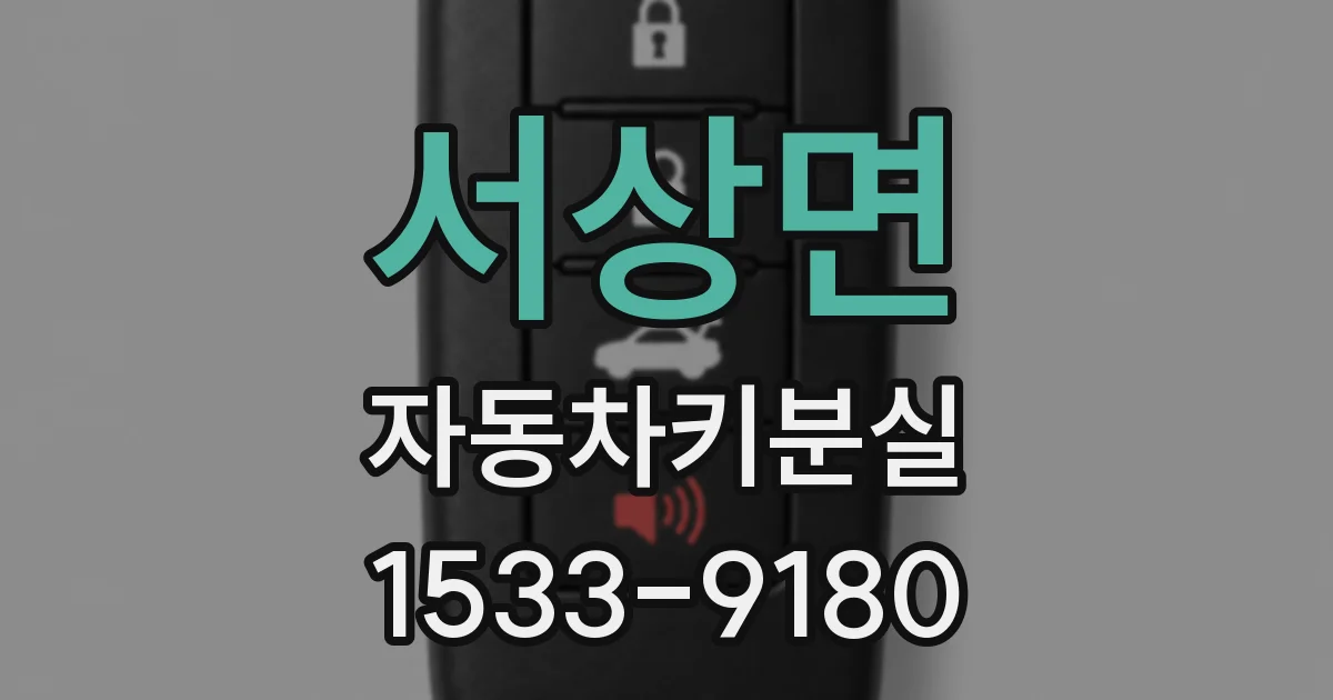 서상면 자동차키분실