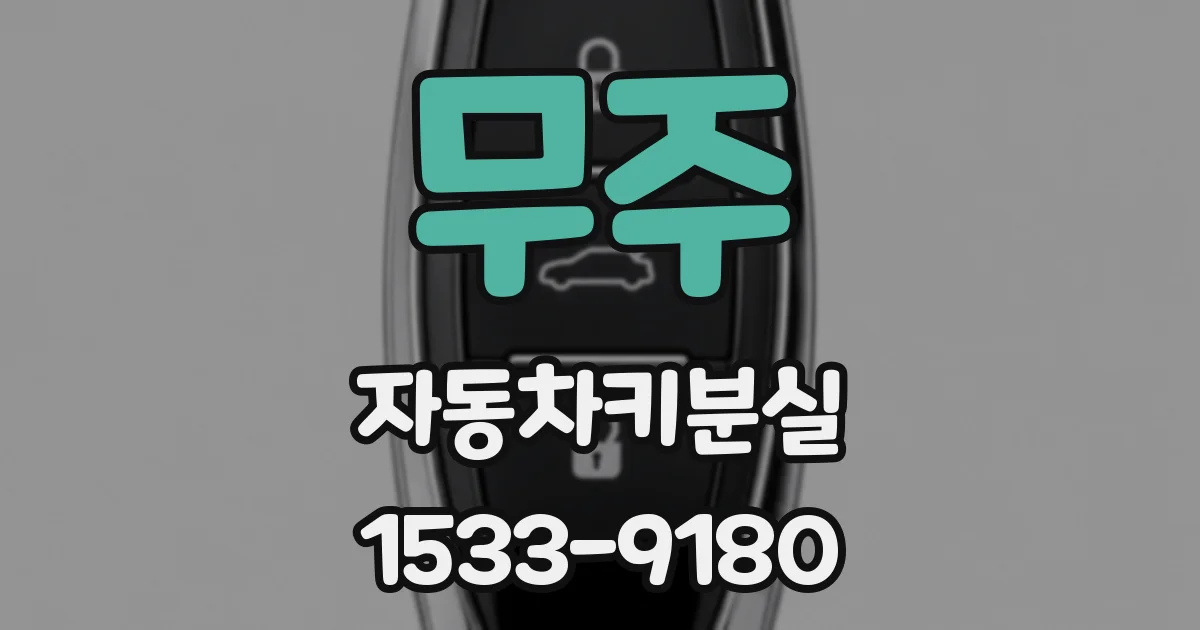 무주 자동차키분실