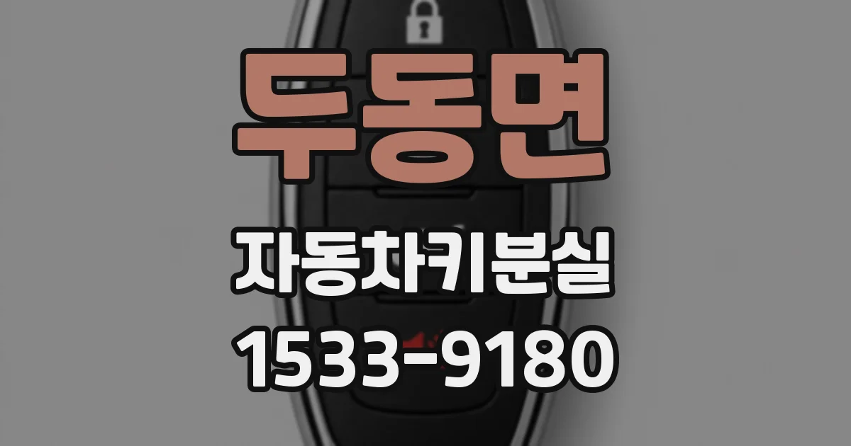 두동면 자동차키분실