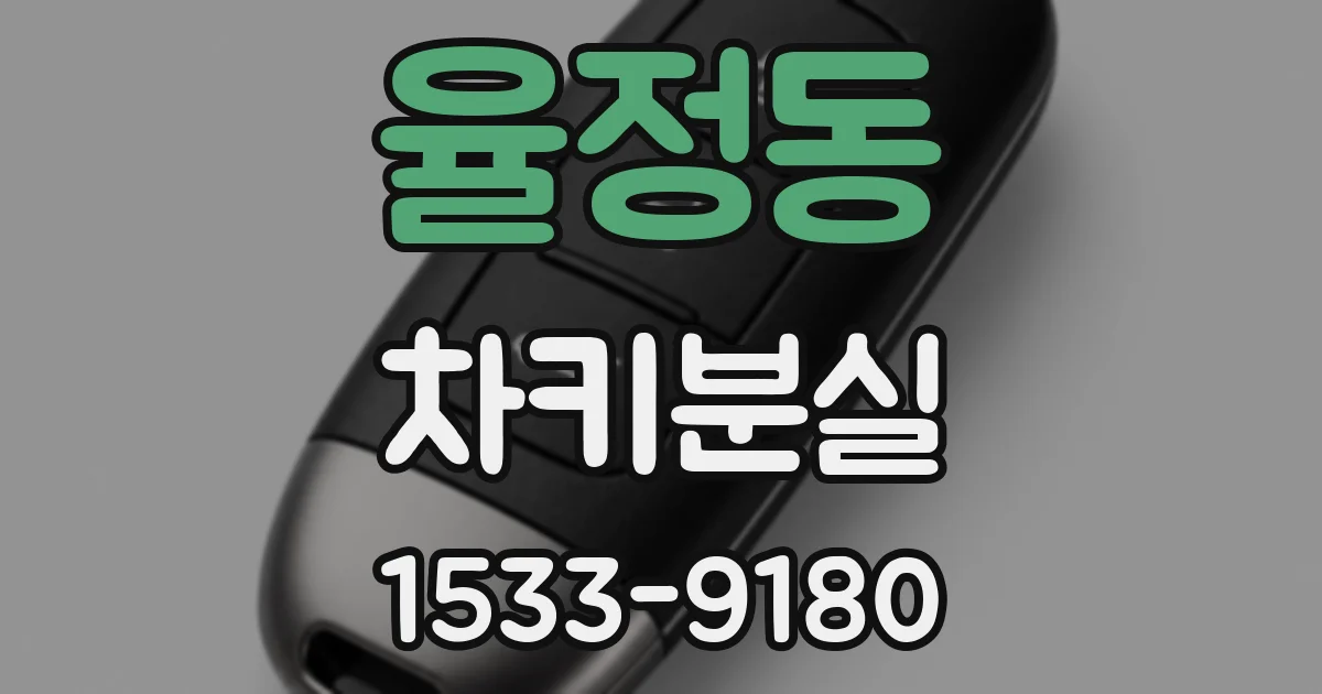 율정동 차키분실