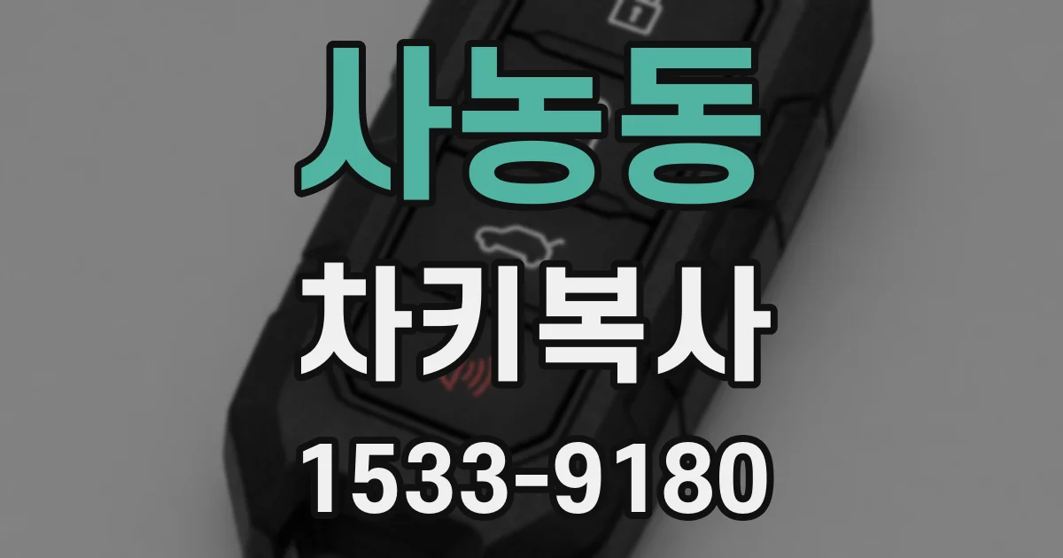 사농동 차키복사