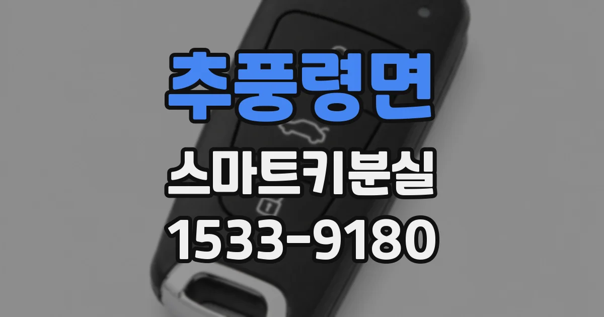 추풍령면 스마트키분실