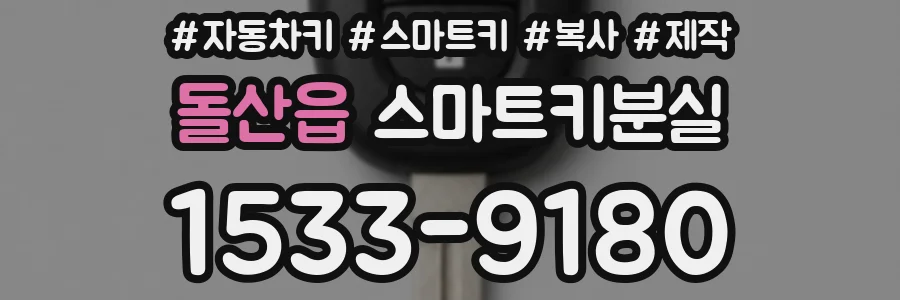 돌산읍 스마트키분실
