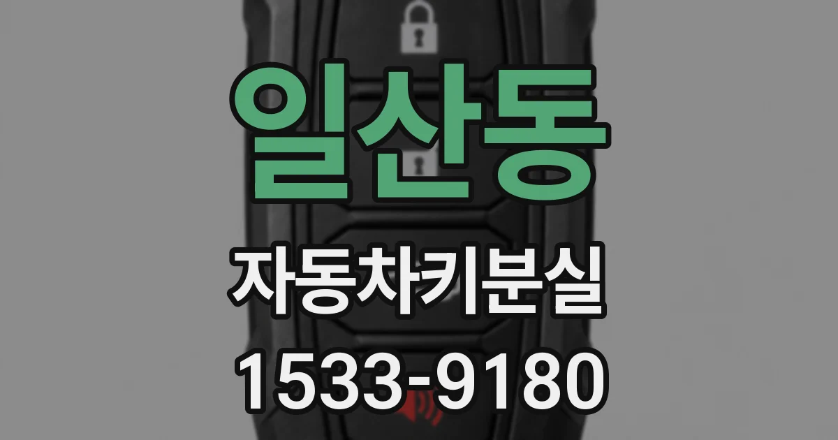 일산동 자동차키분실