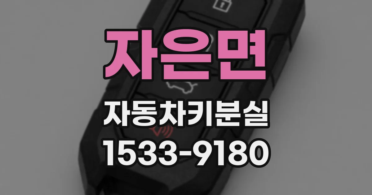 자은면 자동차키분실