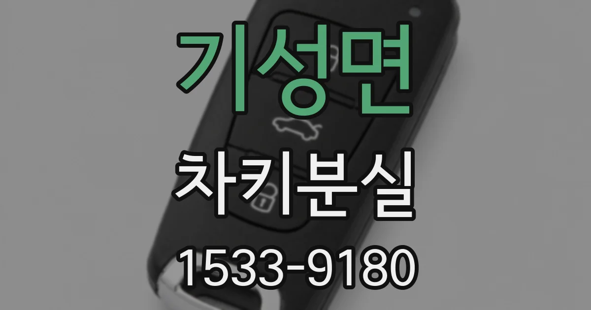 기성면 차키분실