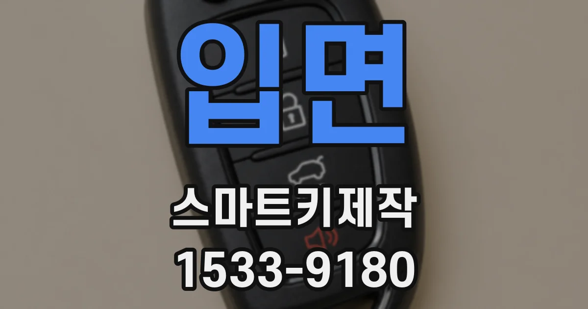 입면 스마트키제작