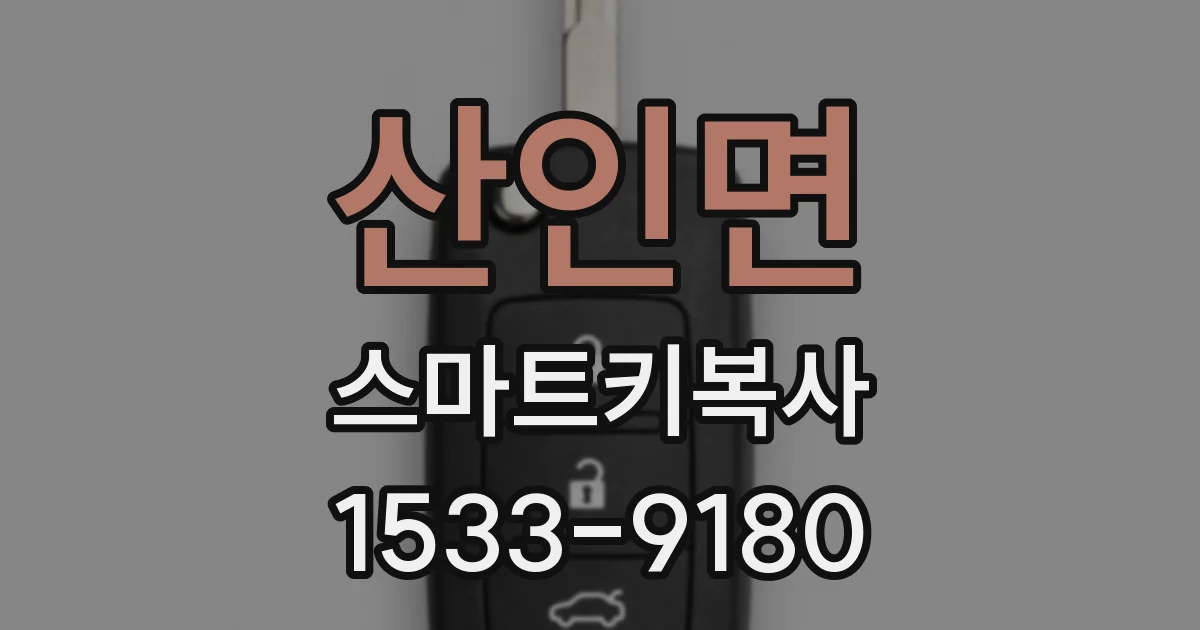 산인면 스마트키복사