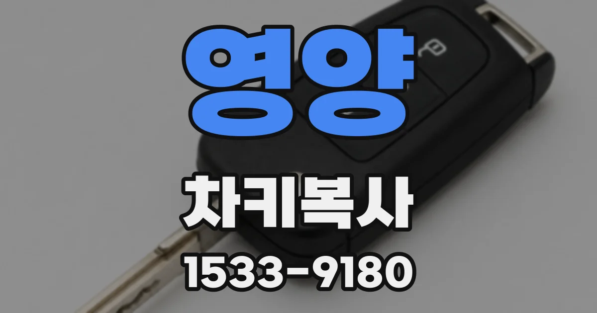 영양 차키복사