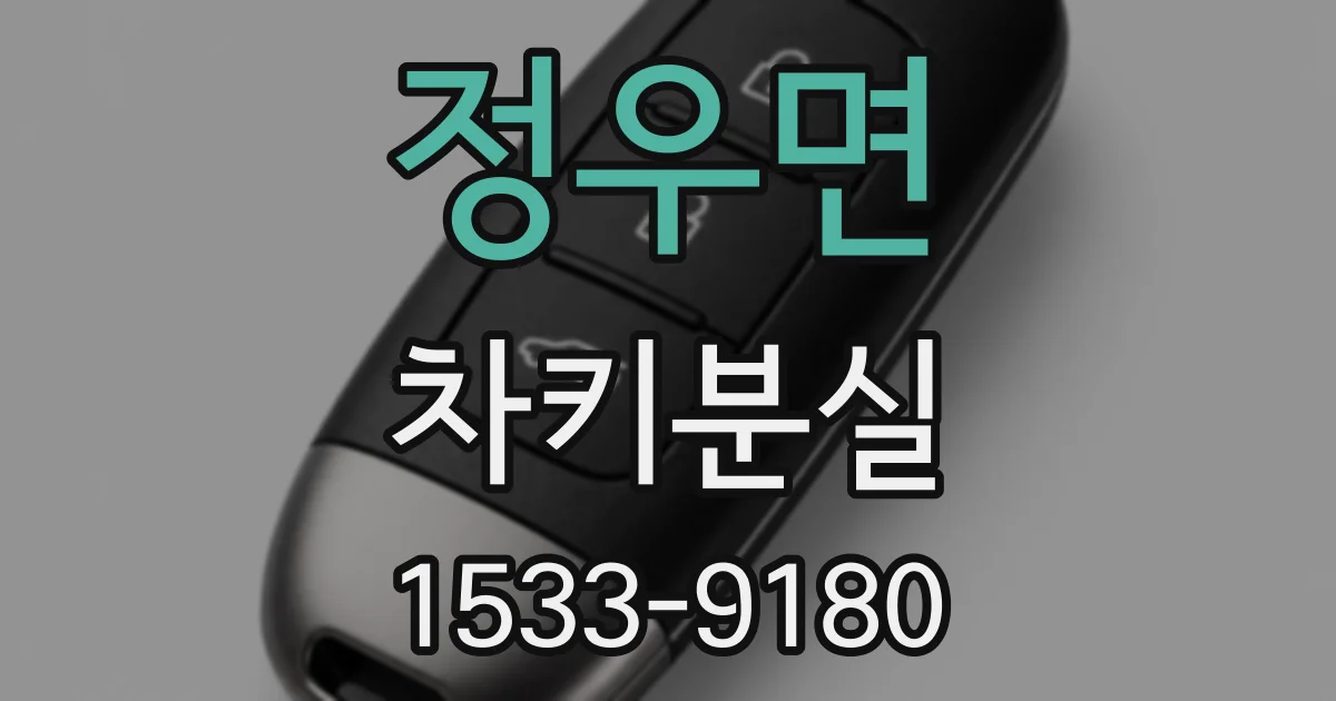 정우면 차키분실