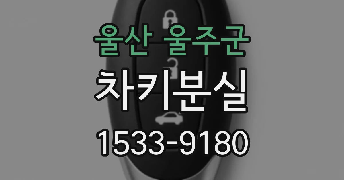 울산 울주군 차키분실