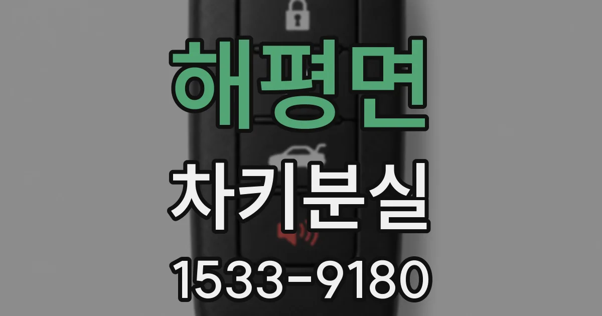 해평면 차키분실