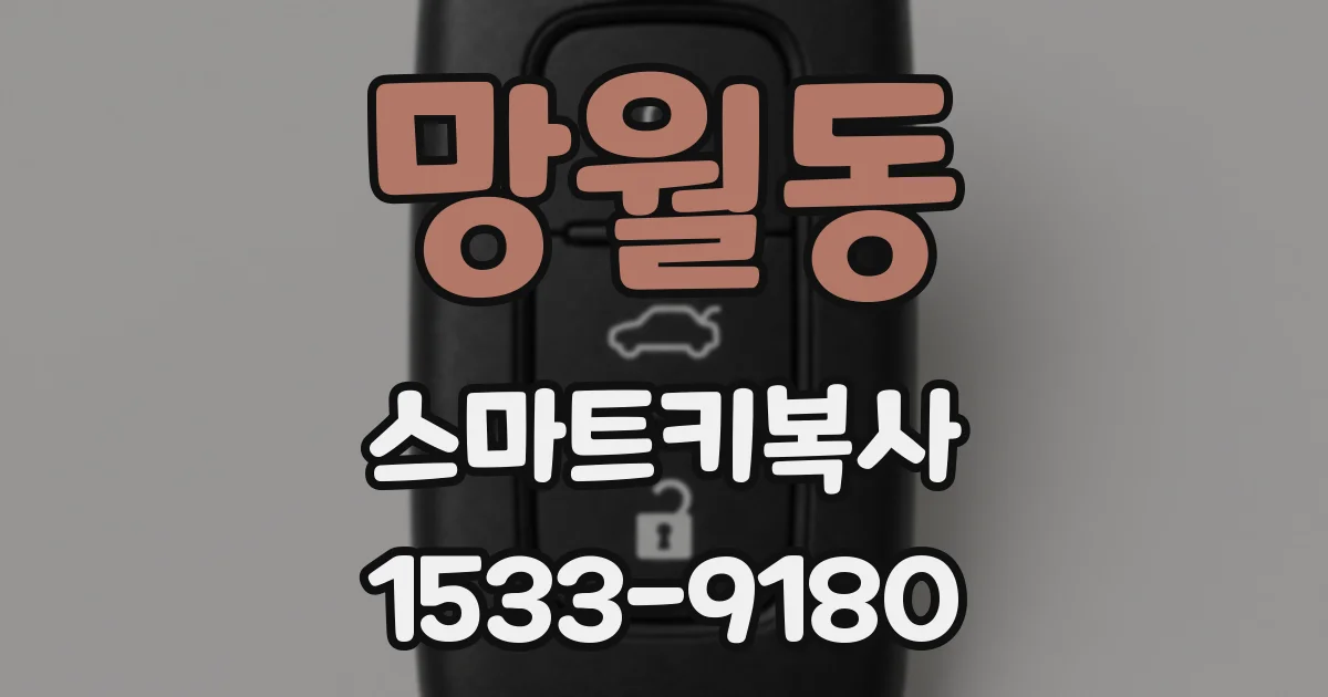 망월동 스마트키복사