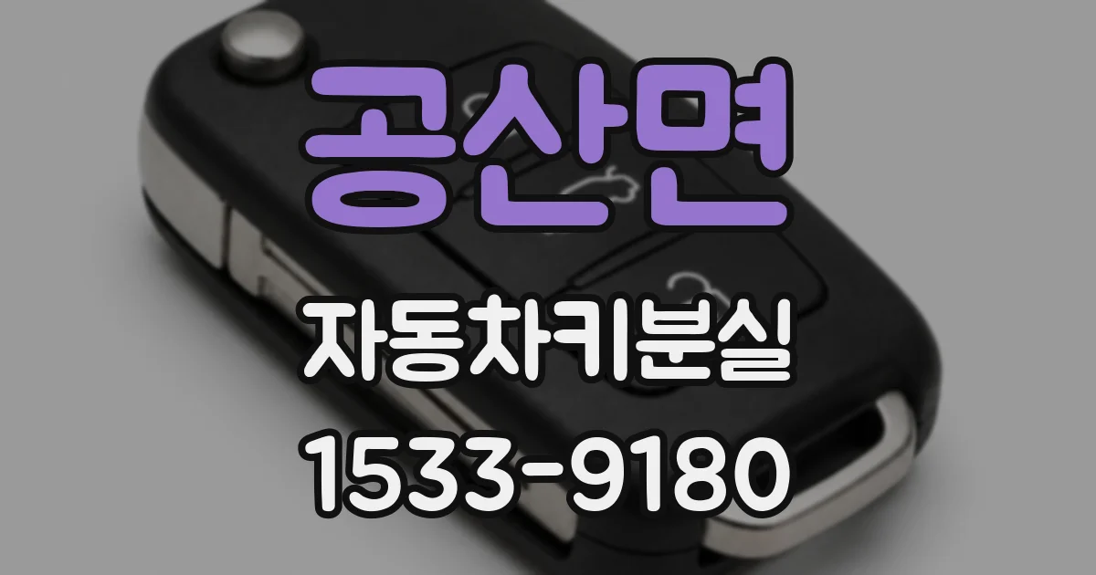 공산면 자동차키분실