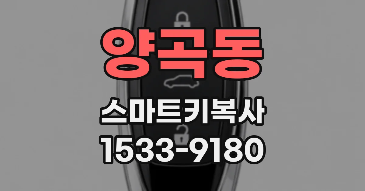 양곡동 스마트키복사