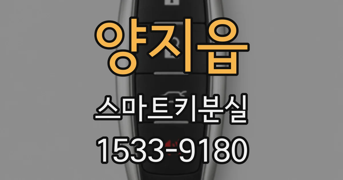 양지읍 스마트키분실