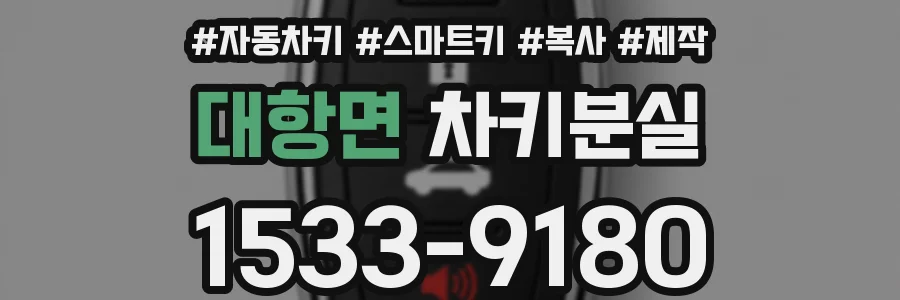대항면 차키분실
