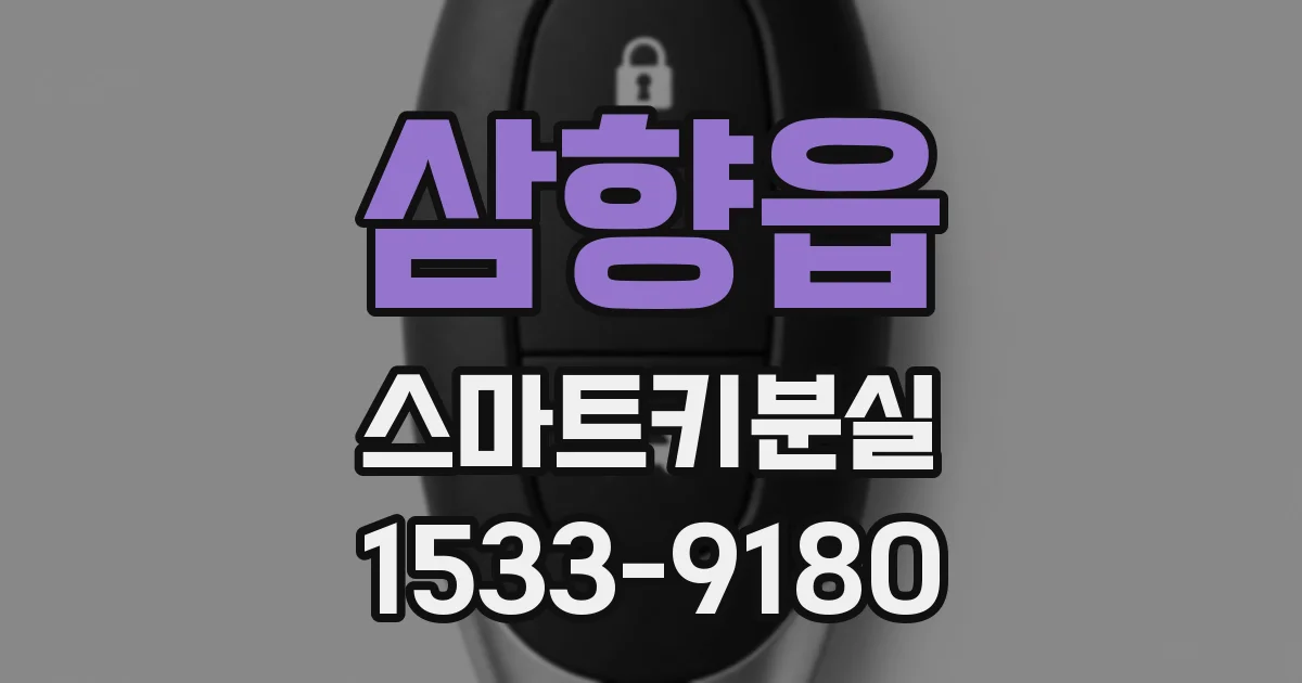 삼향읍 스마트키분실