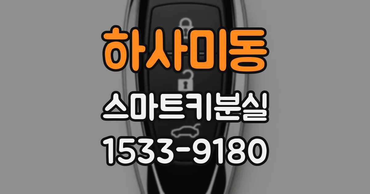 하사미동 스마트키분실