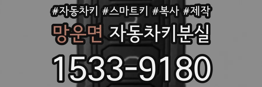 망운면 자동차키분실