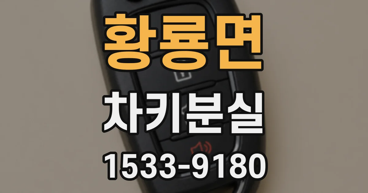 황룡면 차키분실