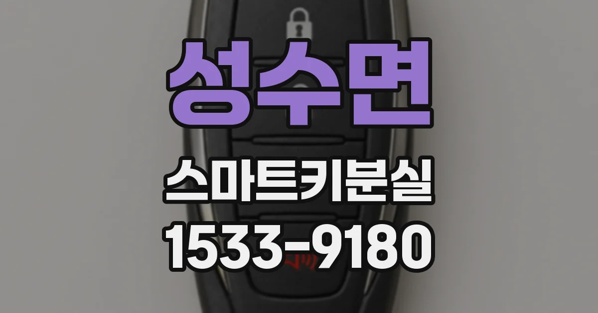 성수면 스마트키분실