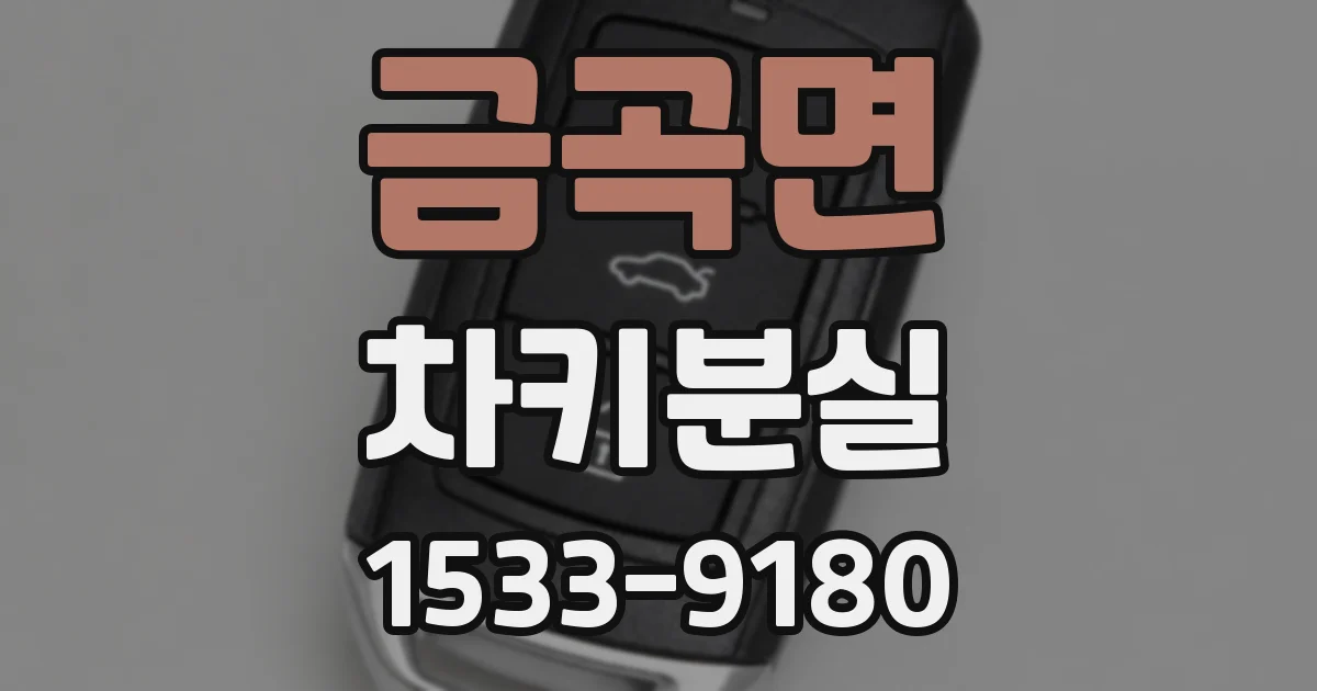 금곡면 차키분실