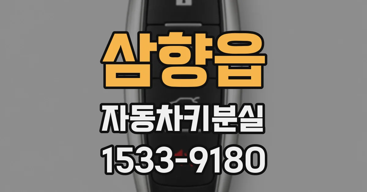 삼향읍 자동차키분실
