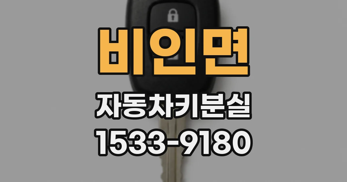 비인면 자동차키분실