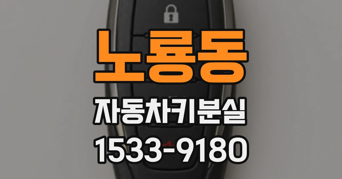 노룡동 자동차키분실